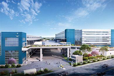 ��������ʱ�ǻ�������|��ɽ���Ϻ�